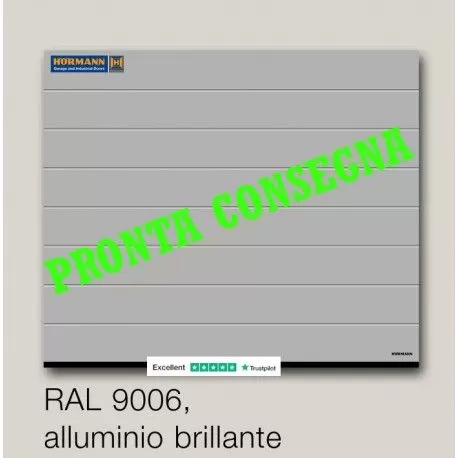 Portone sezionale renomatic  L-2500 H-2250 ral9006 alluminio brillante